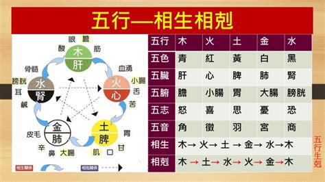 五行剋 火意思